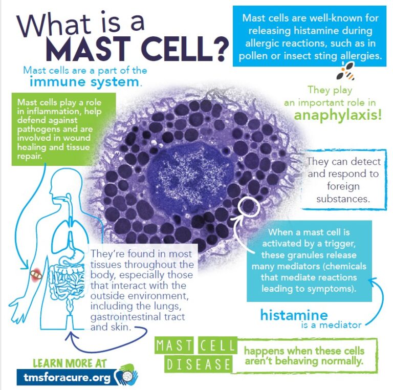 Mast Cell Disease